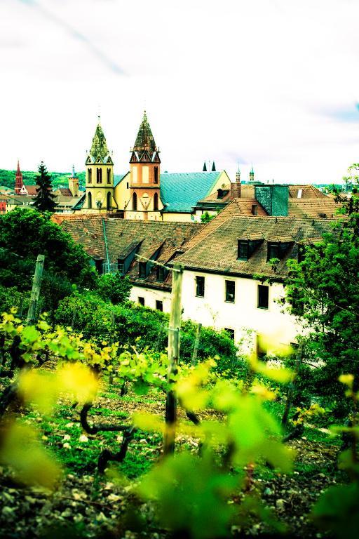 Youth Hostel Wuerzburg Экстерьер фото